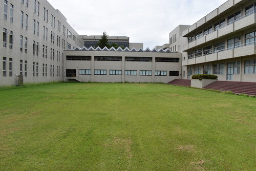 DSC_1081.JPG