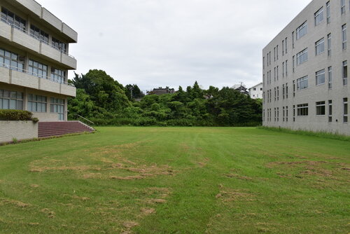 DSC_1083.JPG