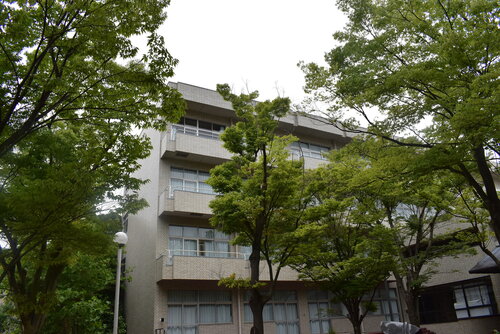 DSC_1136.JPG