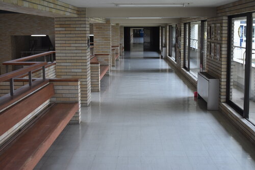 DSC_1155.JPG