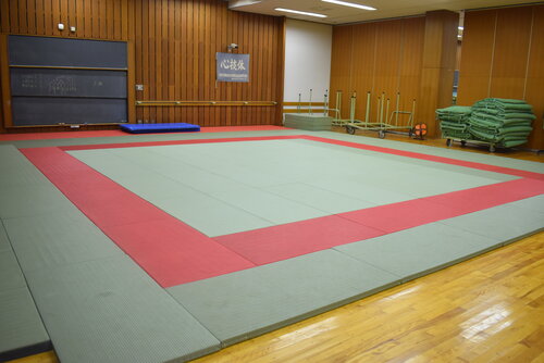 DSC_1167.JPG