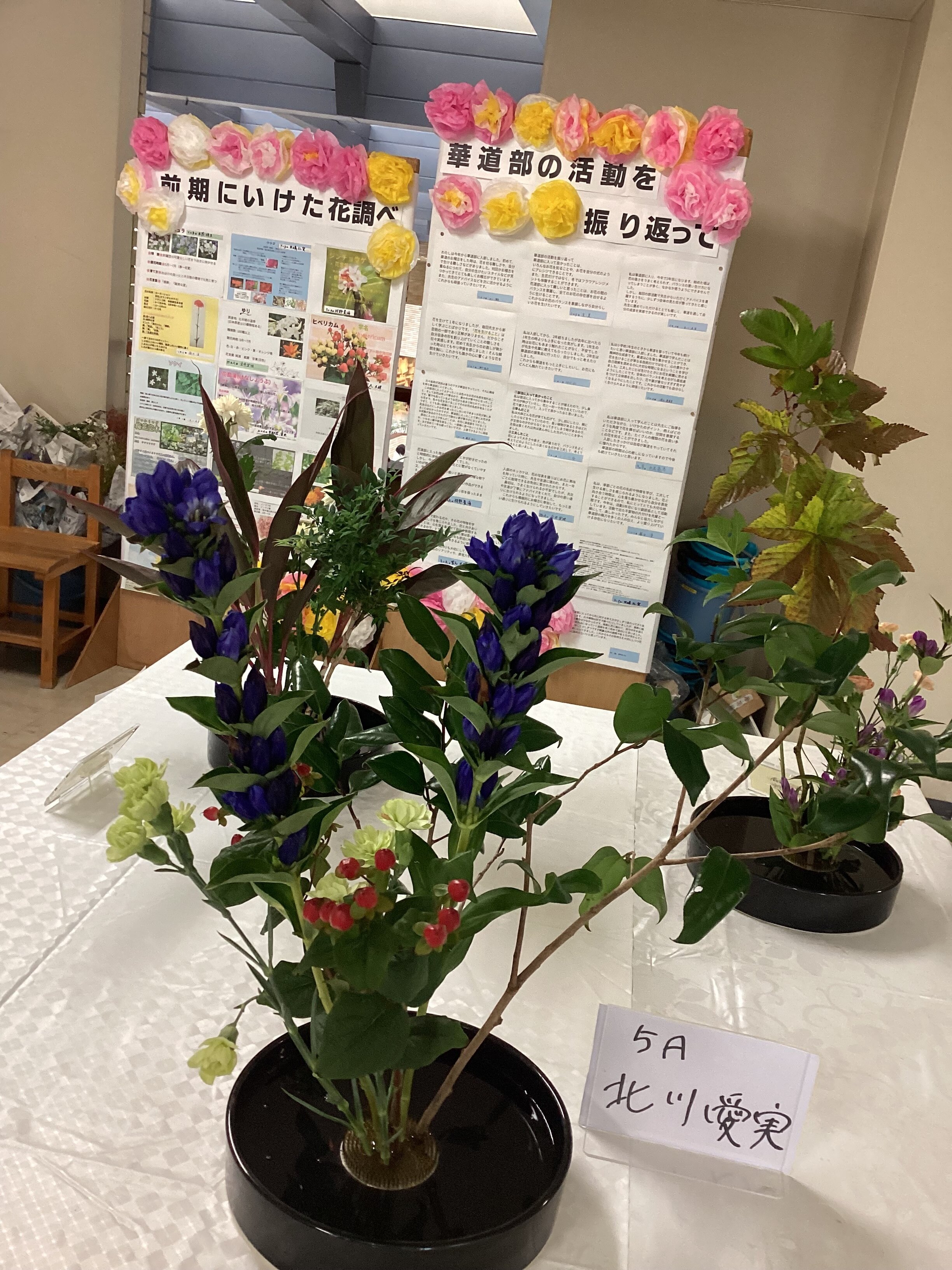 IMG_1444.jpeg