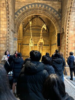 LINE_ALBUM_イギリス修学旅行　4日目_240112_2.jpg