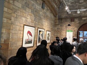 IMG_6379.jpeg